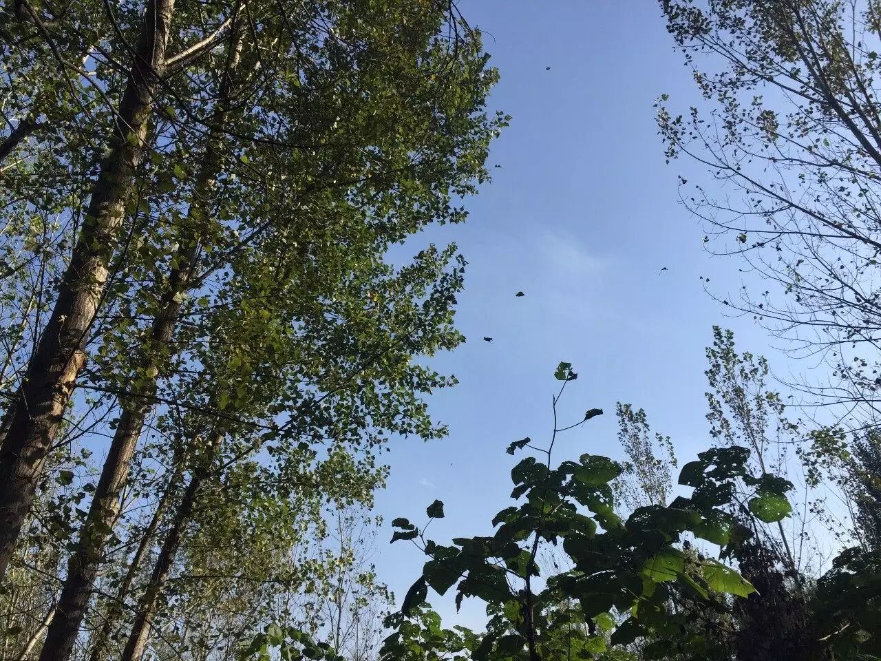 你能给的最好的爱就是陪伴