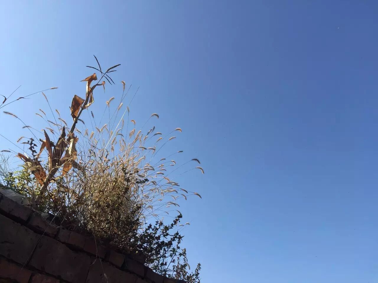 你能给的最好的爱就是陪伴