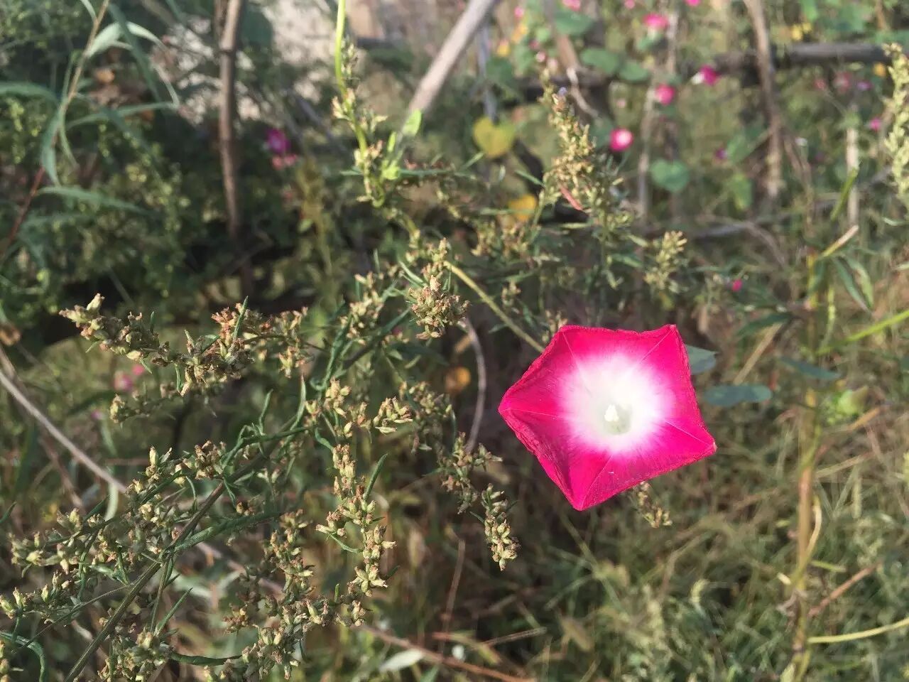 你能给的最好的爱就是陪伴