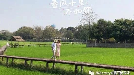 杨乐乐发文为汪涵庆生大方秀恩爱:春风十里不如你