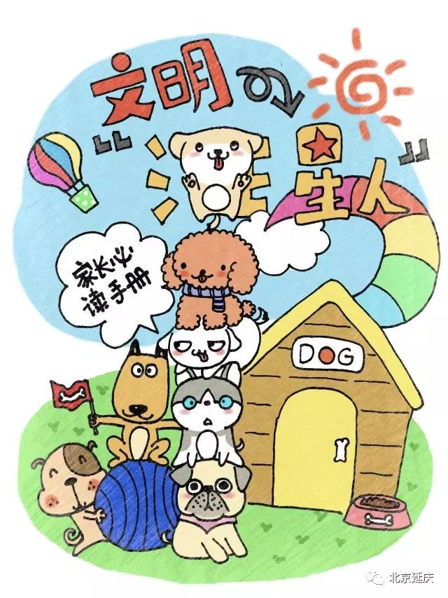 犬爸犬妈速看,不文明养犬最高处罚10000元!
