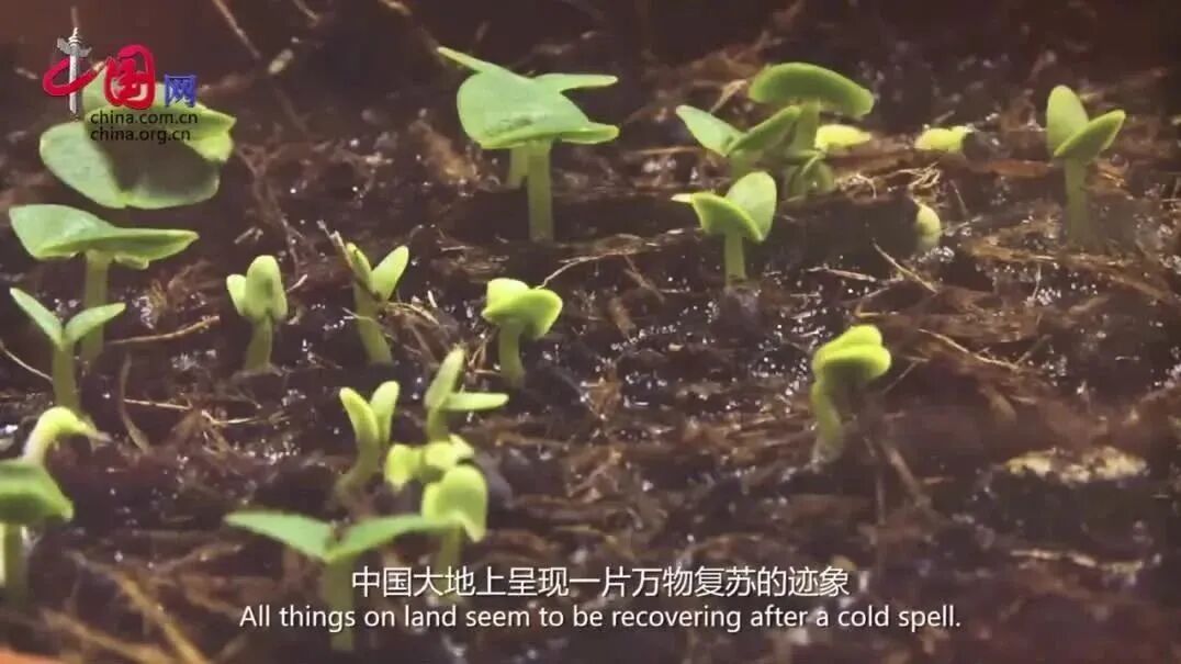 【雨水】二十四之节气雨水：气温回升降水增多！寓意春天来临