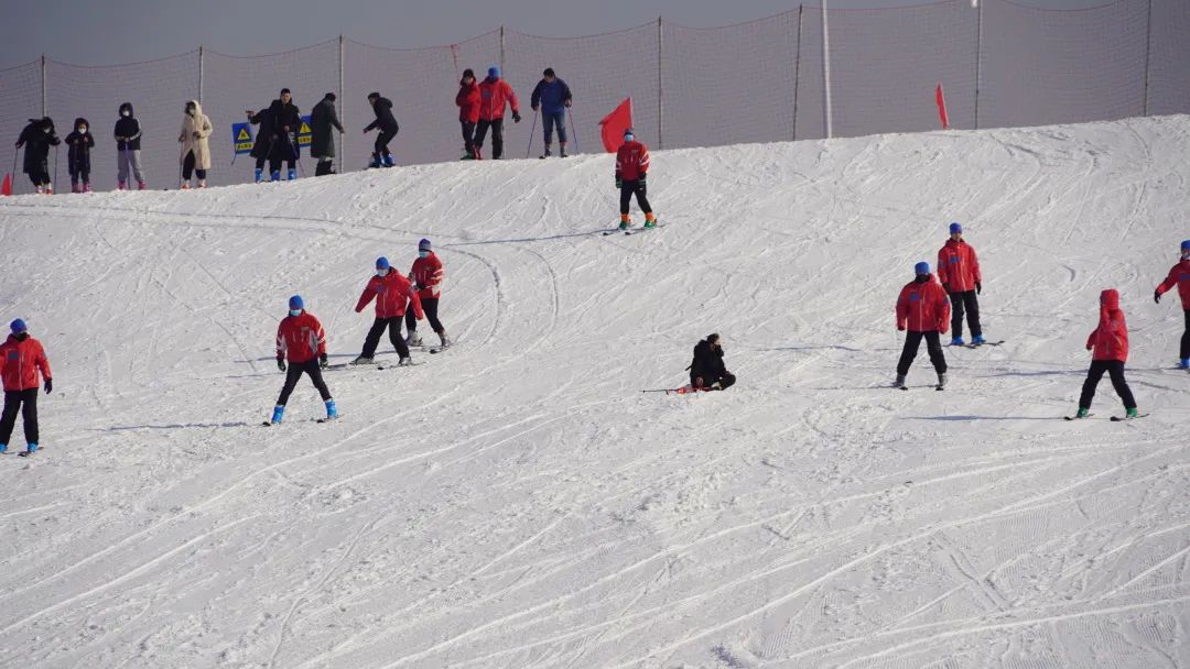 助力冬奥会滑雪蟋蟀谷丨这个冬天必玩的项目德州市首届冰雪节开幕宁津