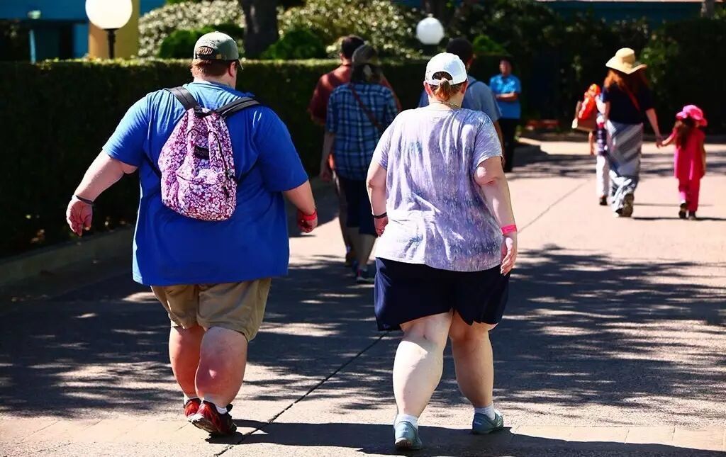 减肥健康方法是什么_健康减肥方法_健康减肥的最好方法