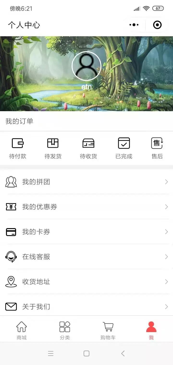 APP/小程序/网站开发