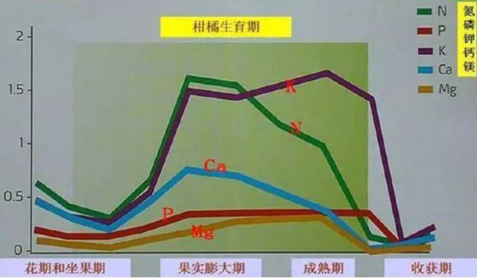 膨果有方法，就用生物有机肥