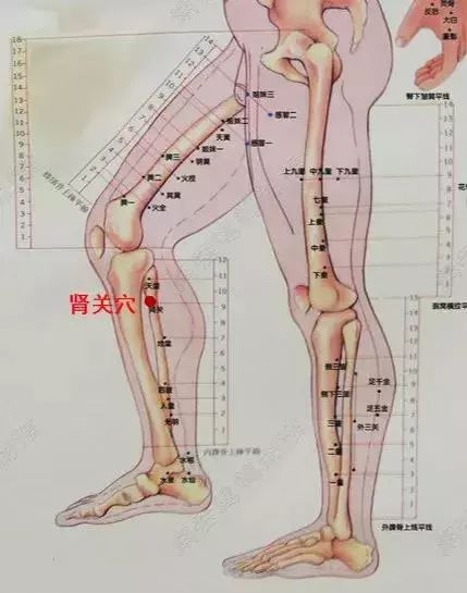 董氏奇穴10大穴位解析