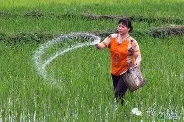 复合肥和有机肥的优缺点_复合肥化肥区别_复合肥和有机肥的区别