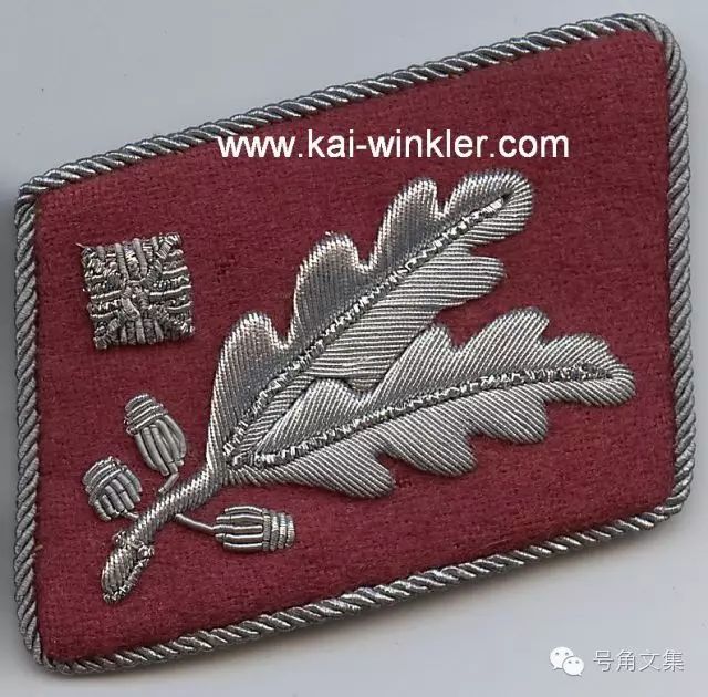 重科普 第三帝国冲锋队制服徽章鉴赏之一:领章(上)