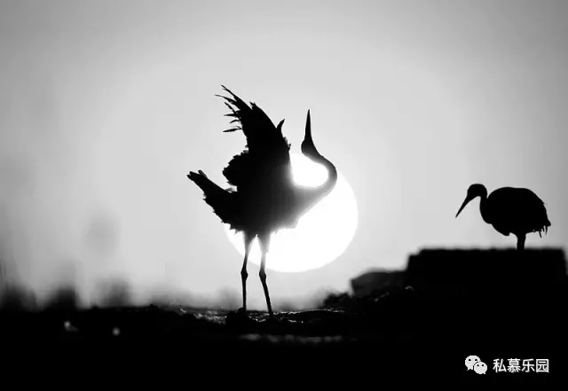 茅台未来十年将成长到你想象不到的高度 茅台未来十年将成长到你想象不到的高度