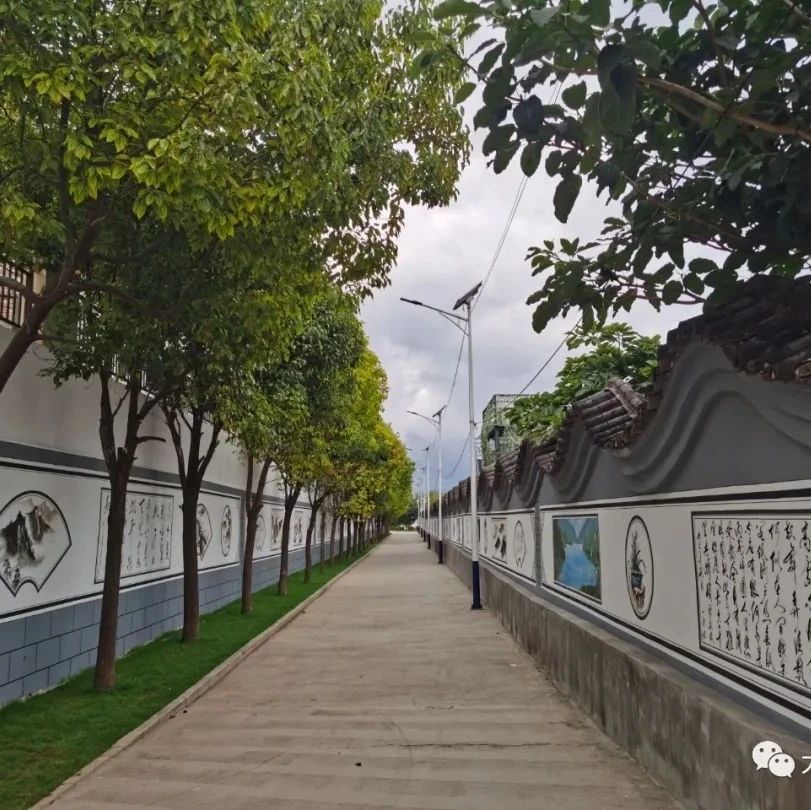 满江街道夏家村:夏花绚烂  秋日静美