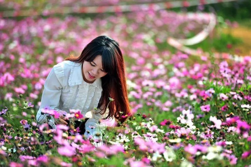 阳朔十里画廊的九里花海生态农业旅游景区,百亩鲜花竞相绽放,争奇斗艳