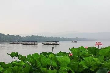 【全新升级】中国畜牧业协会和中科基因联手培训，助推畜牧业发展