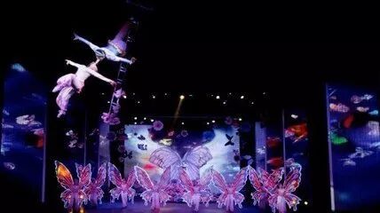 【全新升级】中国畜牧业协会和中科基因联手培训，助推畜牧业发展