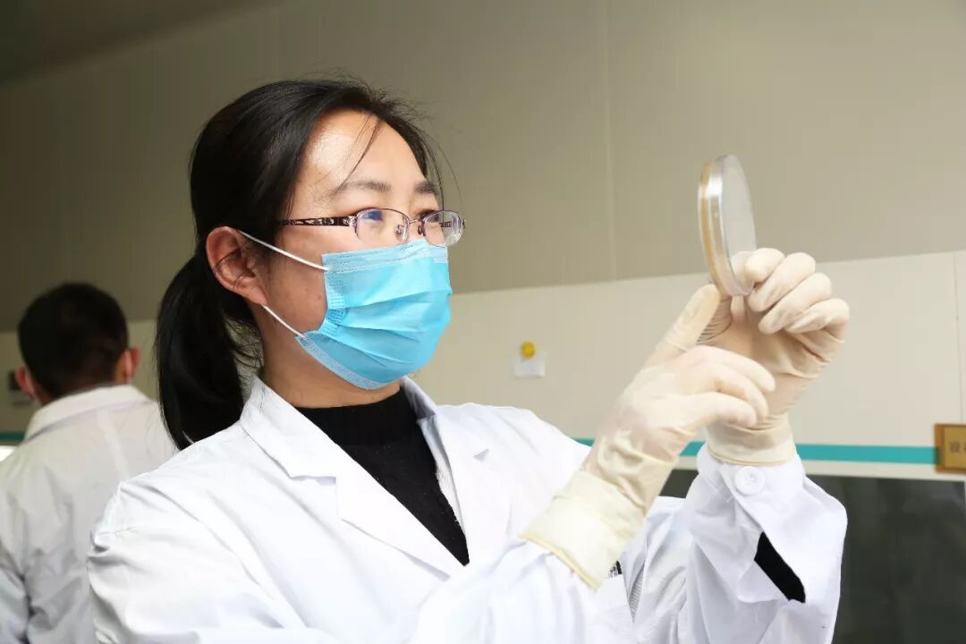 【中科9期】“猪病实验室检测技术培训班”报名开始啦！