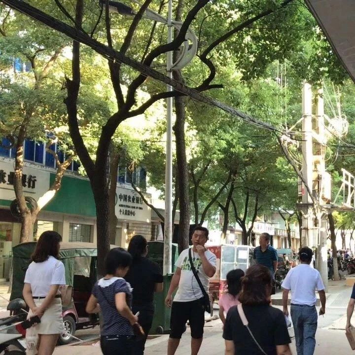 网曝胡歌、廖凡、桂纶镁等众明星在江夏纸坊拍电影?