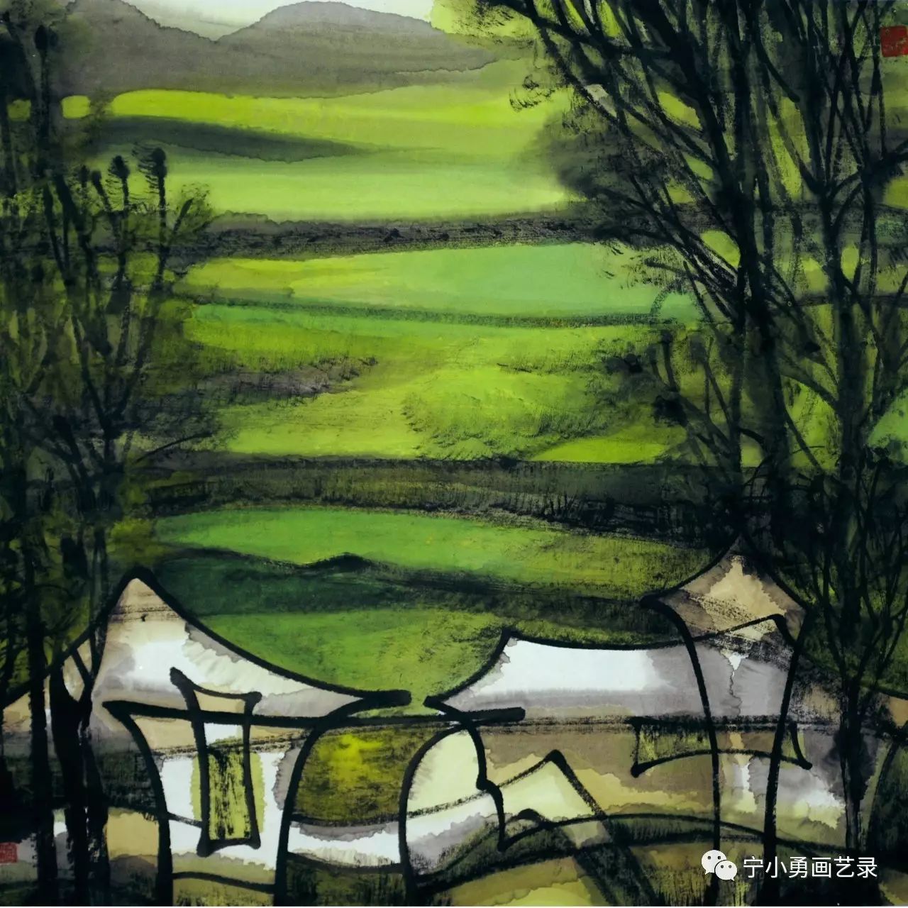 家里种葡萄树好不好有什么讲究吗_家种葡萄树吉祥吗_葡萄树种家里好不好