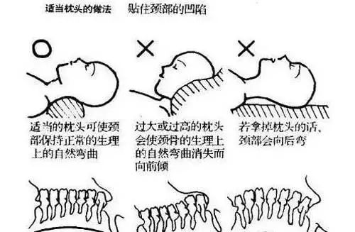 枕头太低容易导致"落枕",头脑发胀,眼皮浮肿;枕头太高会影响呼吸道