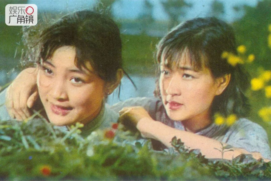 小花里的刘晓庆