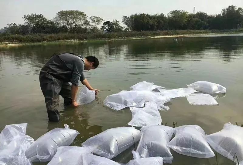 【重庆水产养殖基地交流组】你有一份鱼苗运输和投放