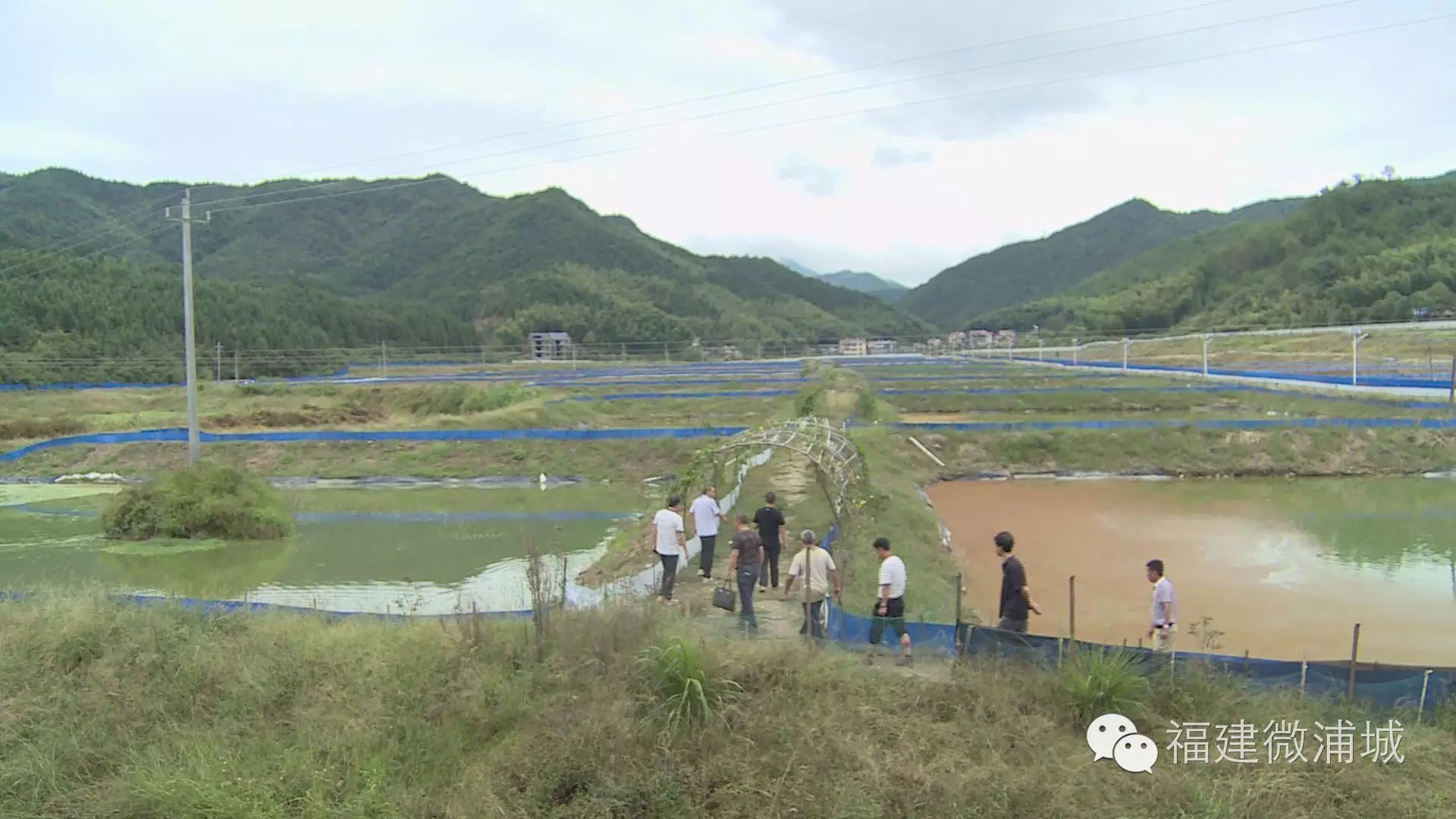 发展多元化种植 甲鱼基地种百香果