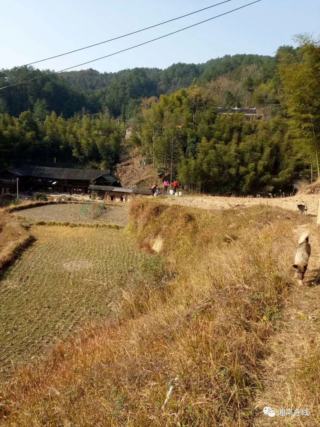 【民声】新化县坐石乡半山湾村一组的饮水问题急需解决