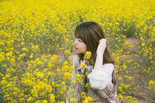 小编亲测,这次油菜花真的开了!媲美婺源,关键是免费!