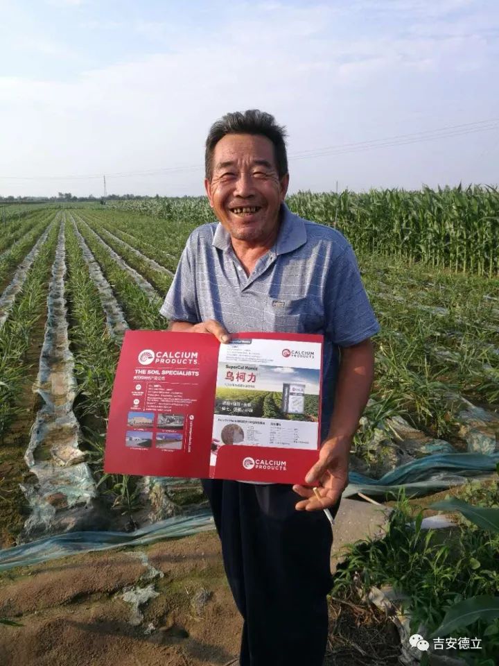 安丘市石堆镇乌柯力试验