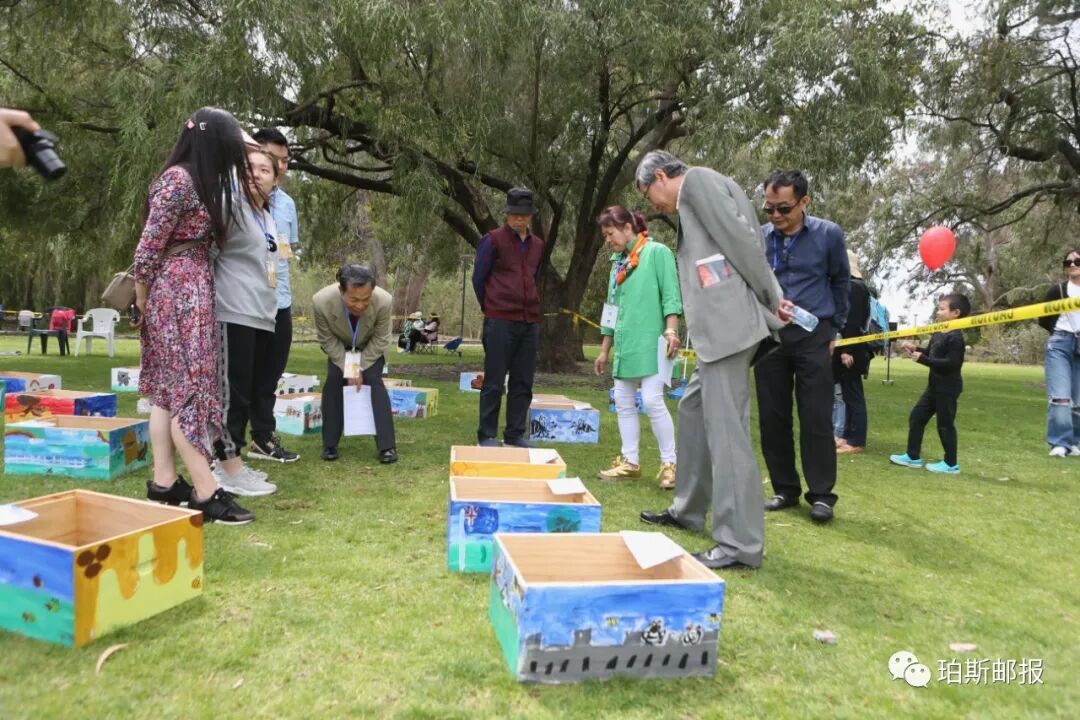 春光明媚时，国王公园处与蜜蜂的一场甜蜜约会，2022澳大利亚第二届可瑞比杯少儿故事画大赛（组图） - 27