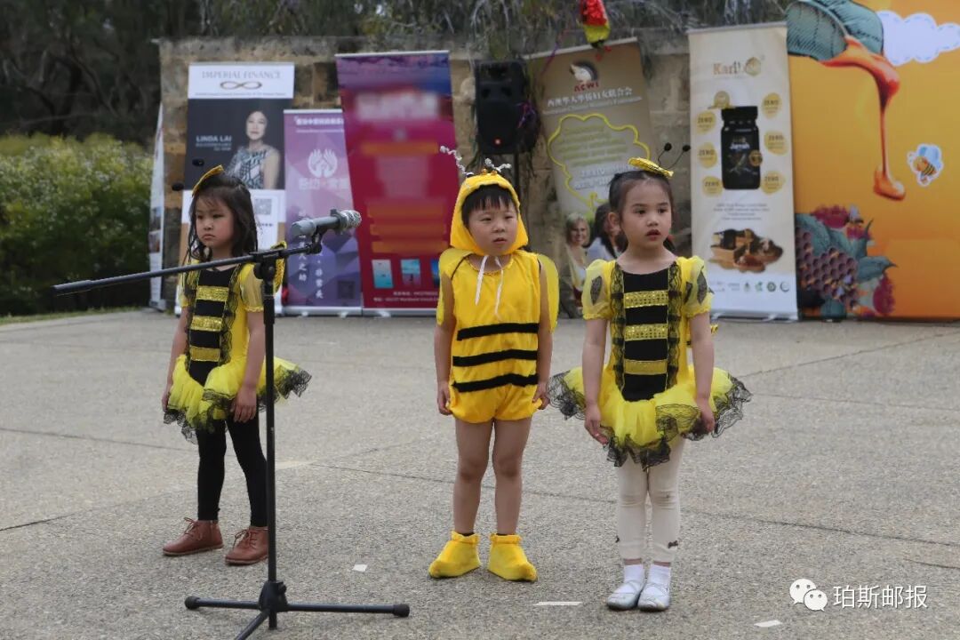 春光明媚时，国王公园处与蜜蜂的一场甜蜜约会，2022澳大利亚第二届可瑞比杯少儿故事画大赛（组图） - 76