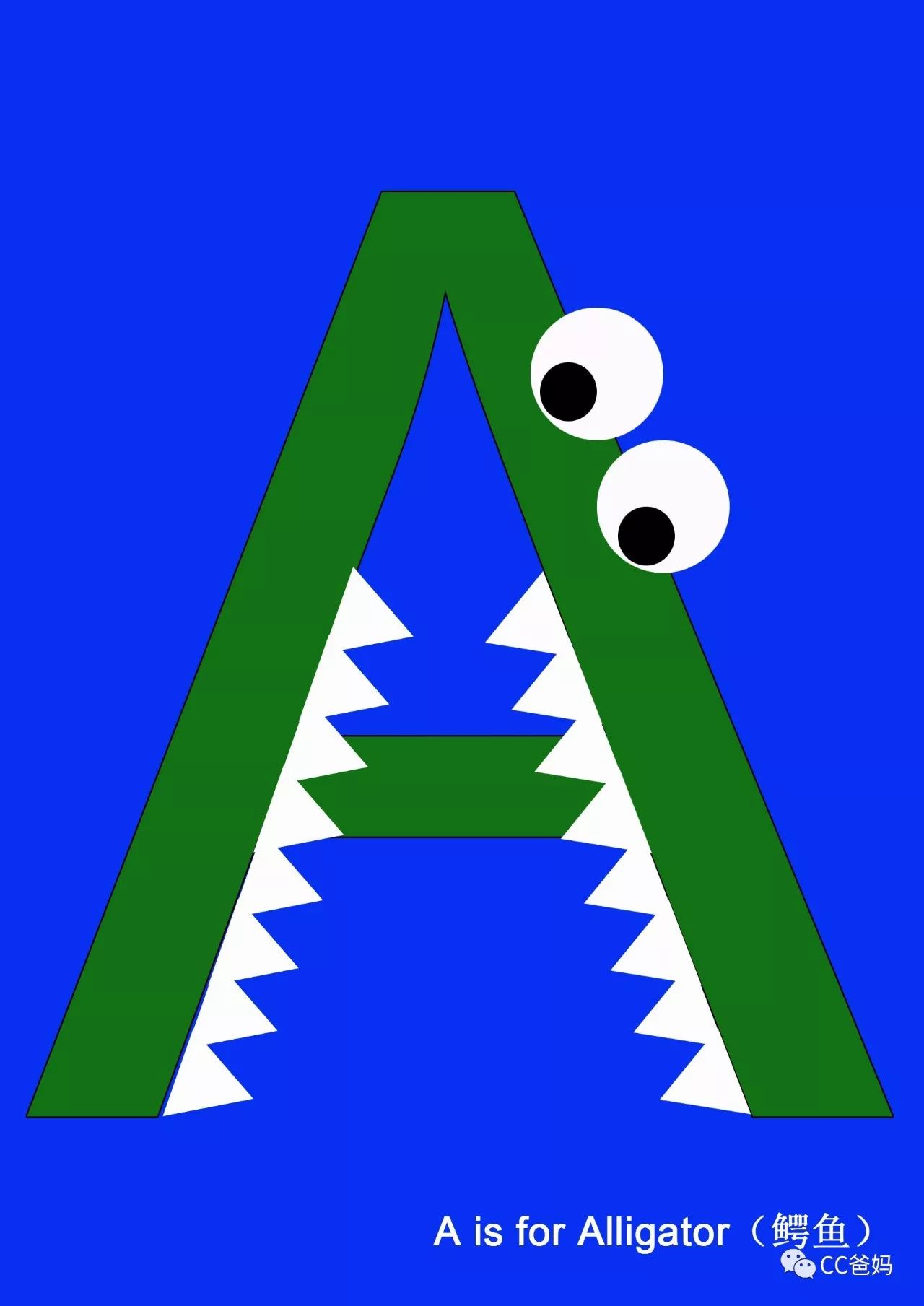 △a is for alligator(鳄鱼)