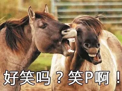 盛姓氏怎么读_操姓氏怎么读_盛姓氏怎么读