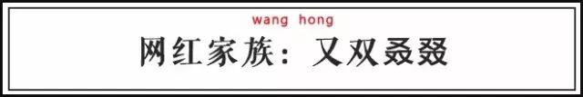 火炎焱燚读音_又双叒叕火炎焱燚读音_四个火字燚的读音是什么