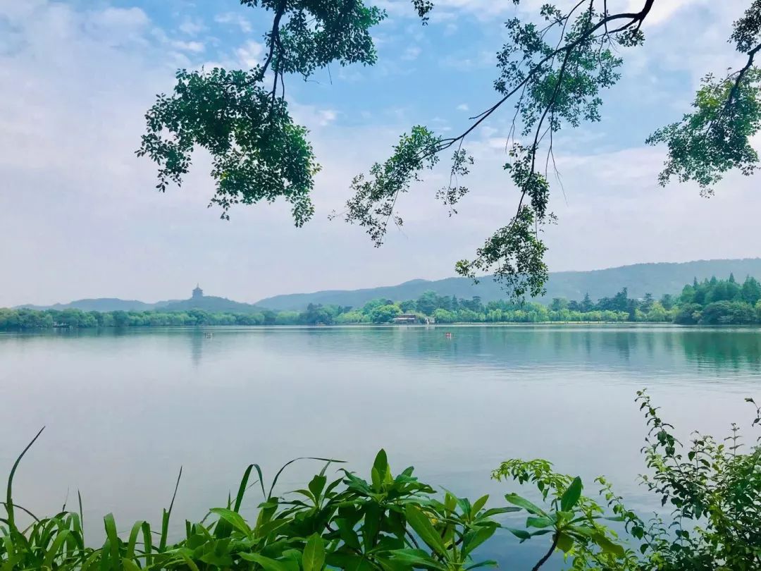 西湖国宾馆私藏了最美的西湖景色,夏末初秋错峰出行,去赏红枫胜景