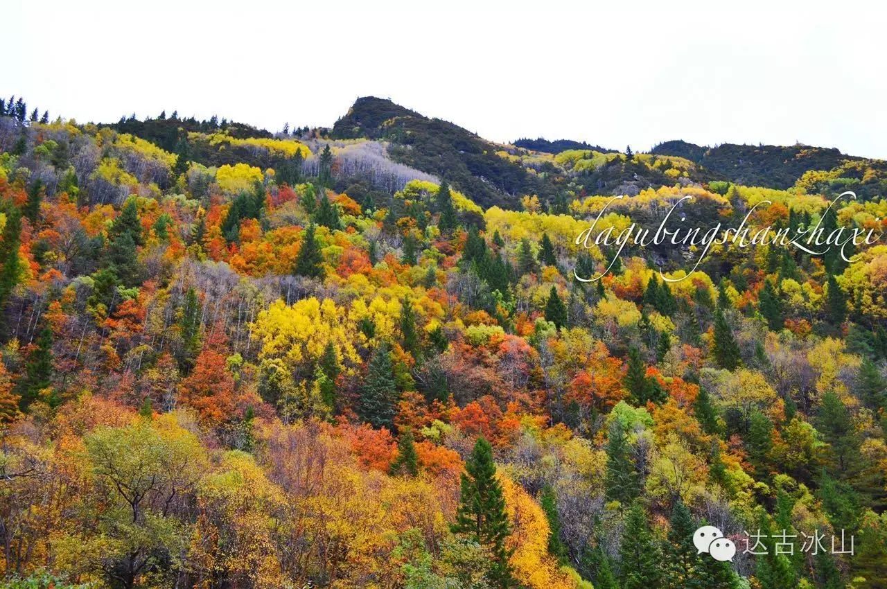 美爆了!黑水第四届冰山彩林节10月18日火热来袭!刷爆朋友圈的美景!