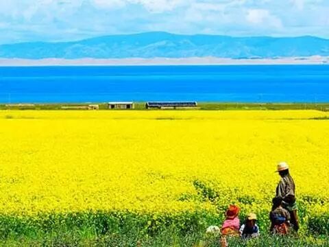 青海湖在哪个省哪个市_青海湖旅游攻略必去景点大全_青海湖在哪