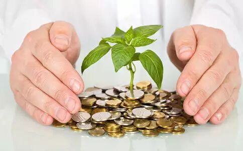 果农必看：水果种植业的五大风险，个个致命！