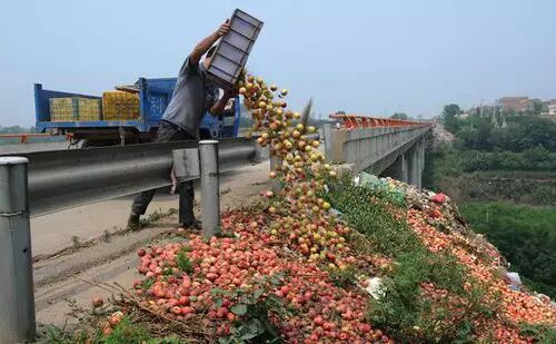 果农必看：水果种植业的五大风险，个个致命！