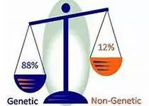 GMP多肽合成公司