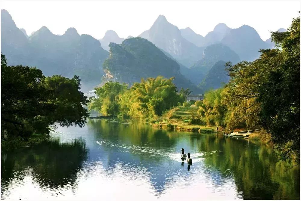 (柳州市鹿寨县,中渡土蜂蜜,真正土蜂蜜)