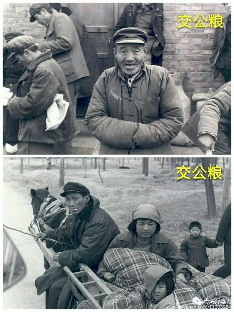 ▽农民交公粮