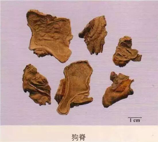 【收藏】203种常用中药的鉴别及彩图汇总