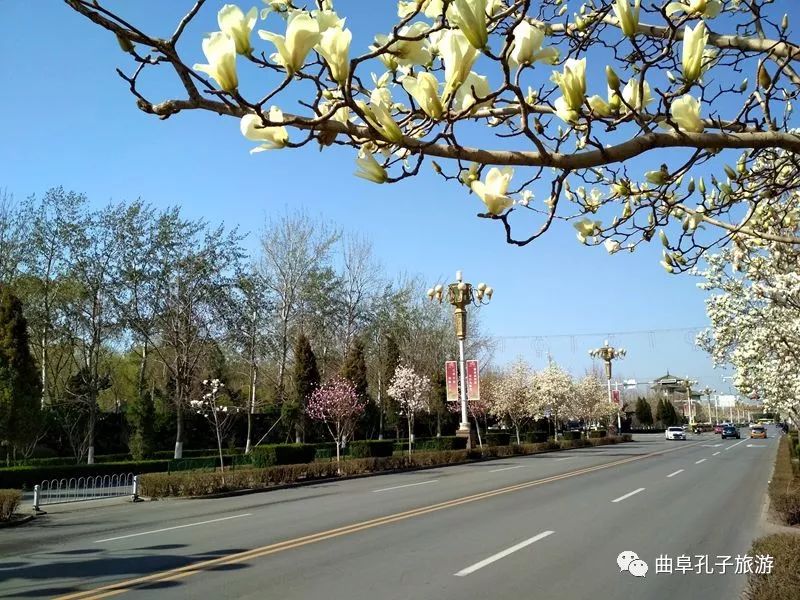 曲阜的这条街即将让你"惊艳不已"!