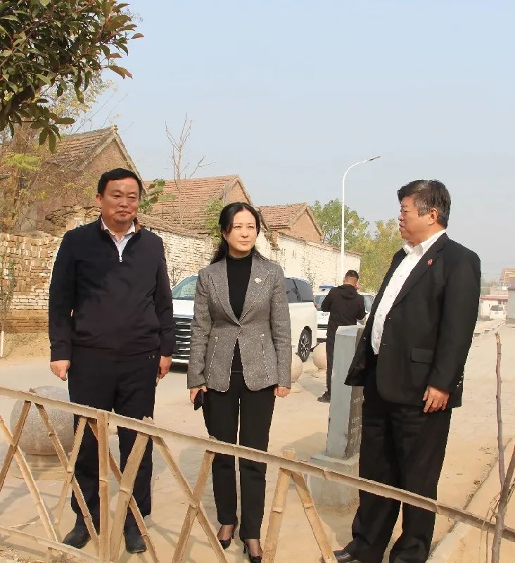 南乐县法院院长李凌燕到元村镇督导调研人居环境整治工作