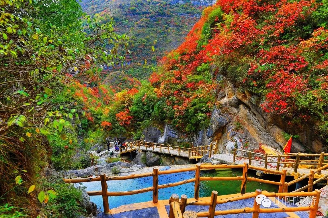 美景,美食,美丽心情尽在山阳旅游