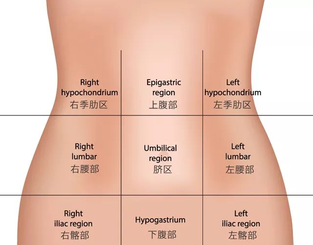根据腹部九分法的划分,下腹指的是在肚脐以下5-10cm的位置,画一条线