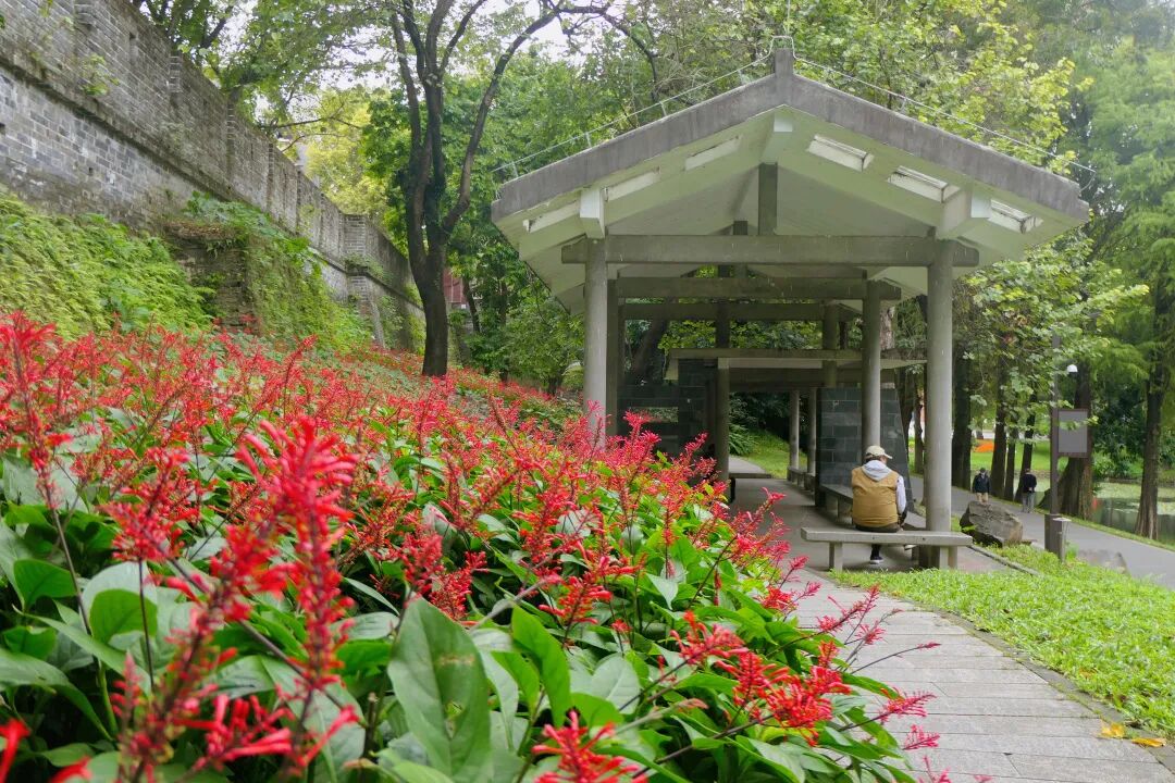 新葡京博彩官网公园红楼花