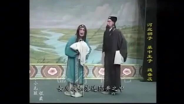 魏春蕊演唱，河北梆子《墓中生子》经典唱段
