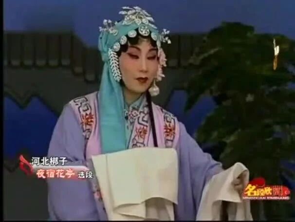 河北梆子《夜宿花亭》选段_王景雪演唱