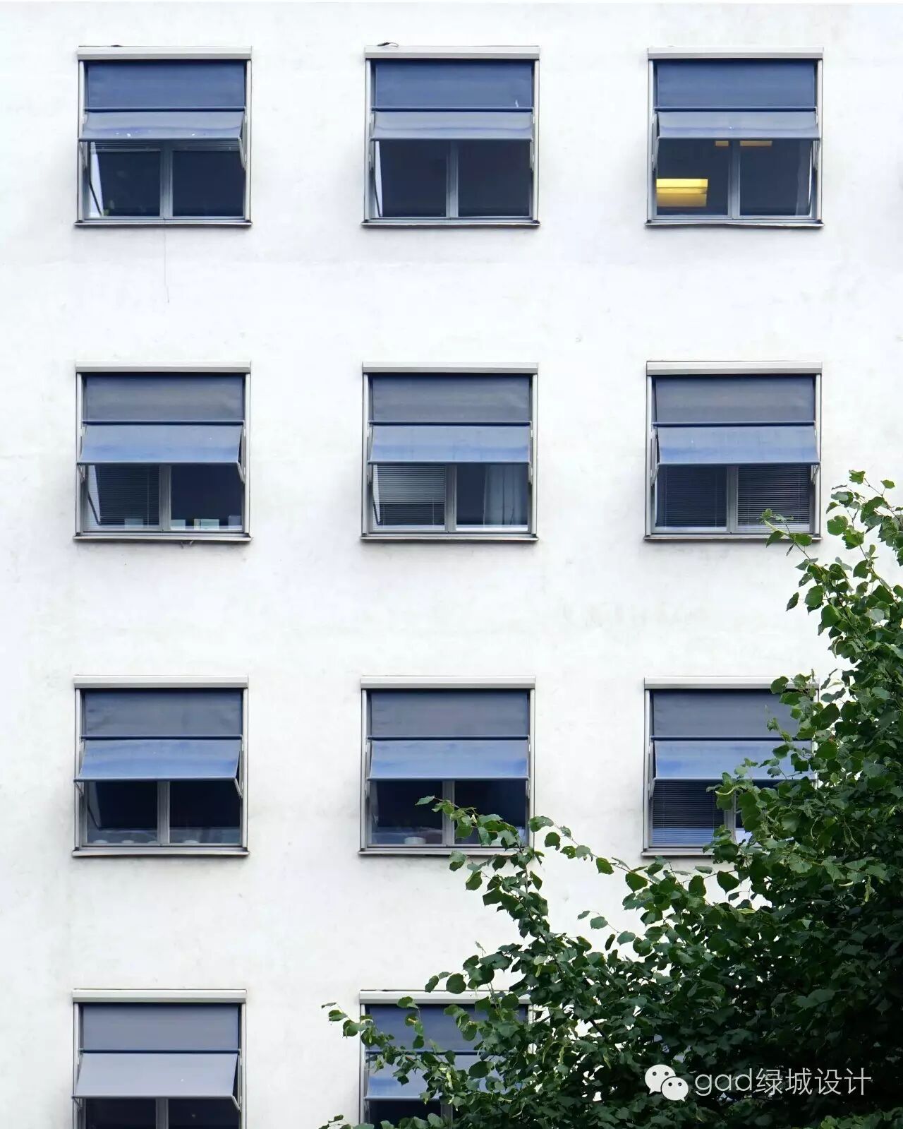 06 新区办公楼窗_调整大小.jpg